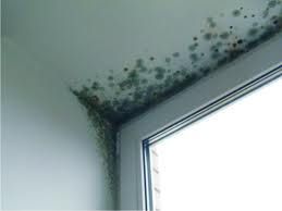 Чистка, обслуживание вентиляции.