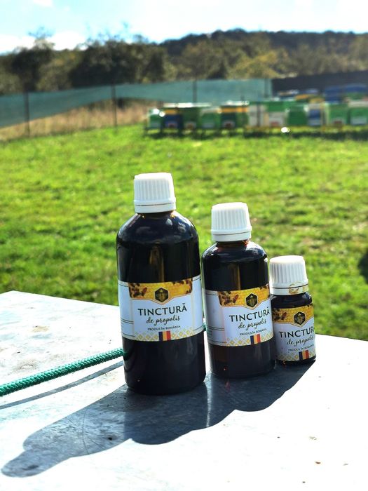 Sirop de catina cu miere și propolis