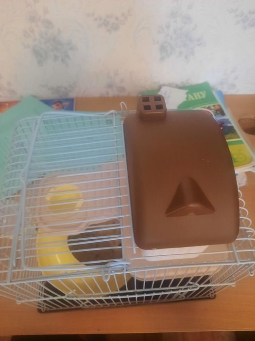 Продам хомяк хороши
