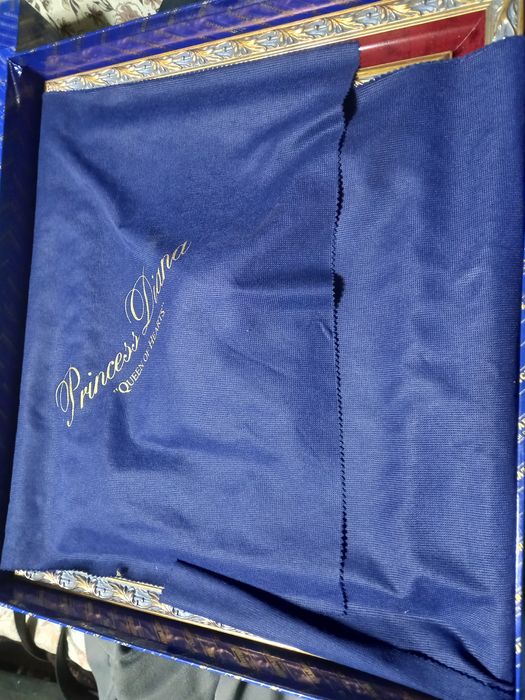 Vind tablou argint LADY DAIANA