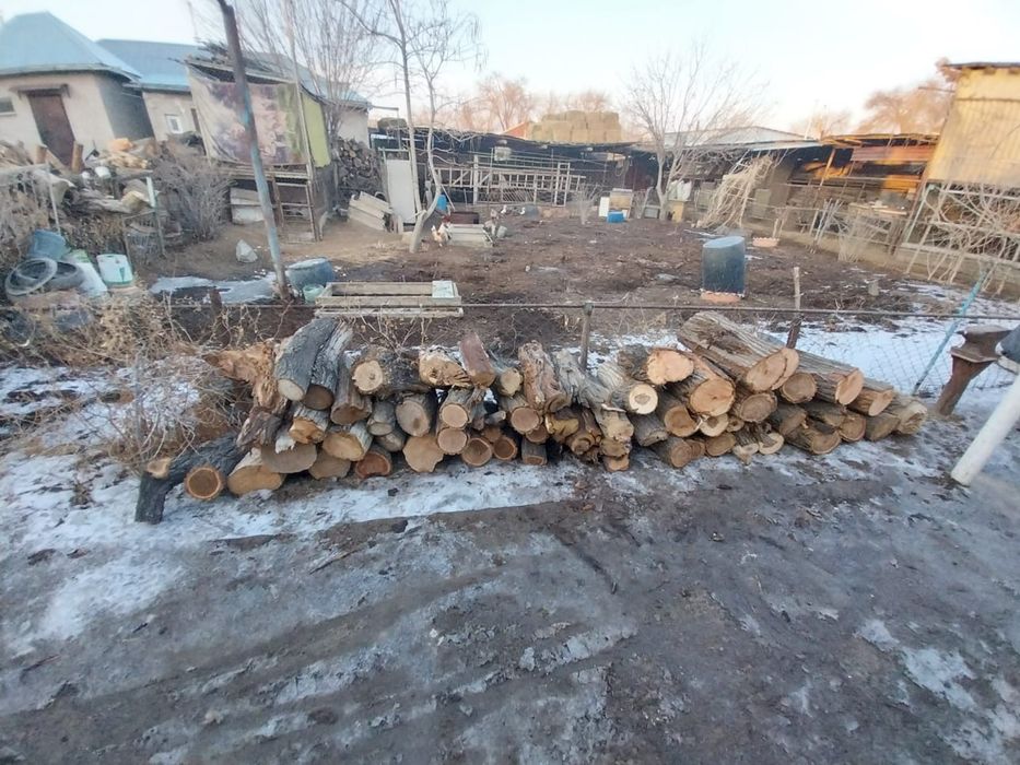 Отын, дрова, печь, пеш, агаш, комир.