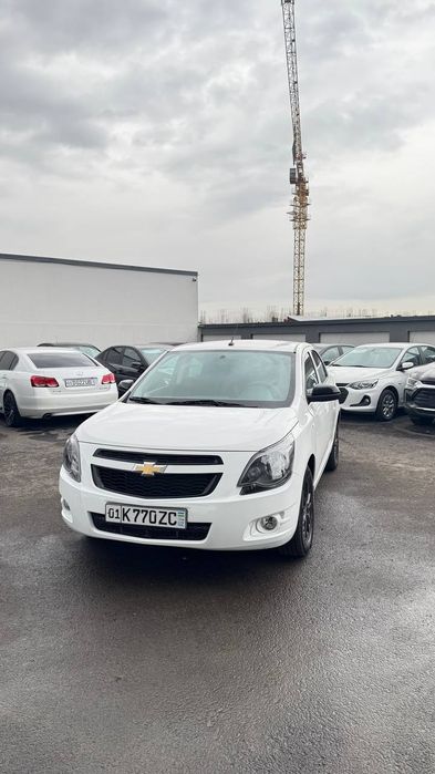 Cobalt midnight mcm fulli