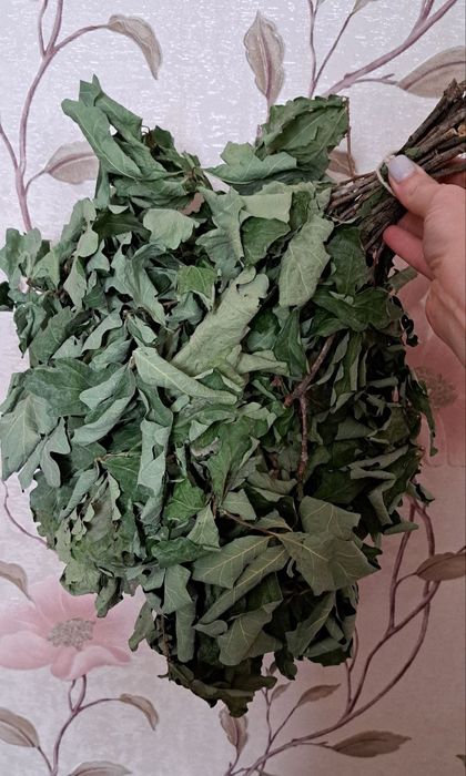 Веники для бани дуб