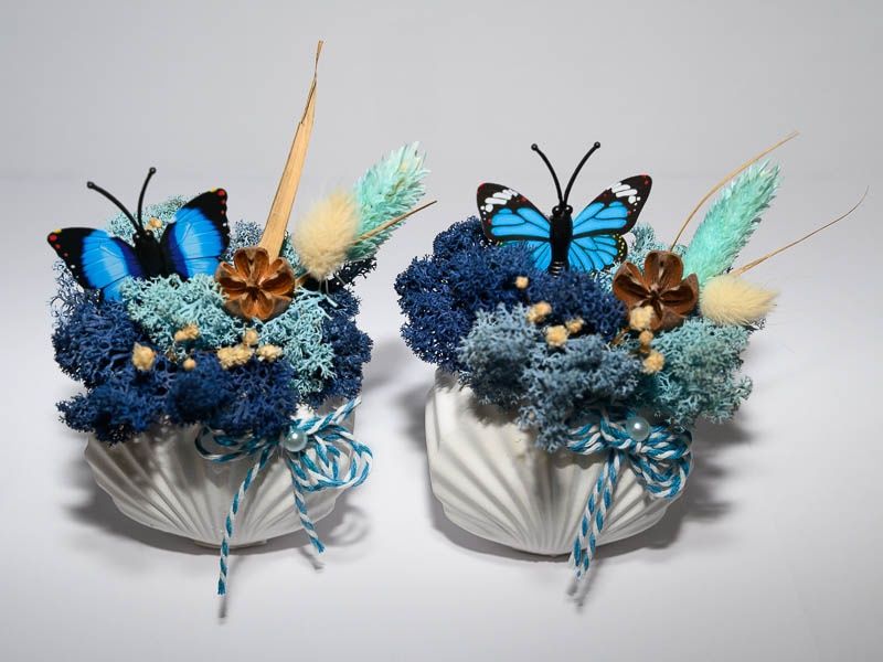 Бурканчета и мини кашпи с естествен скандинавски мъх