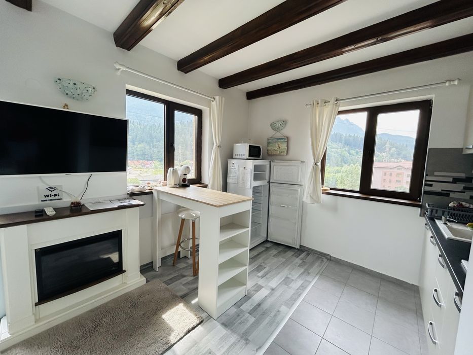 Cazare munte Busteni Apartament - 4 camere