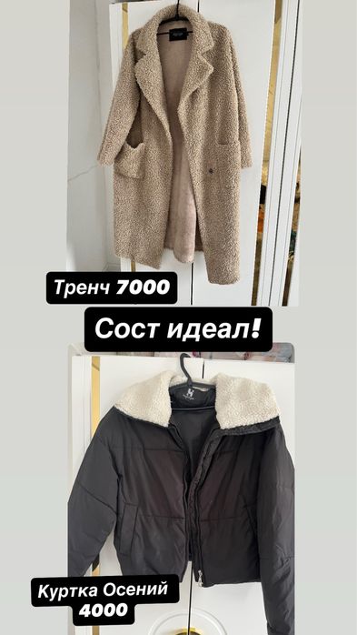 Тренч,Куртка для осень и весна