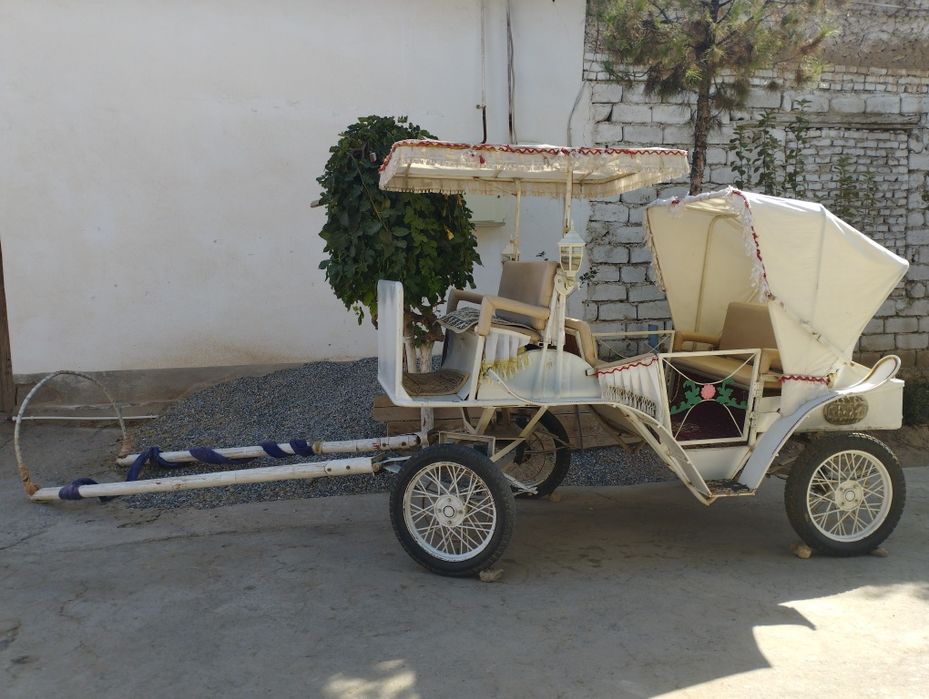 От арава сотилади Карши шахар