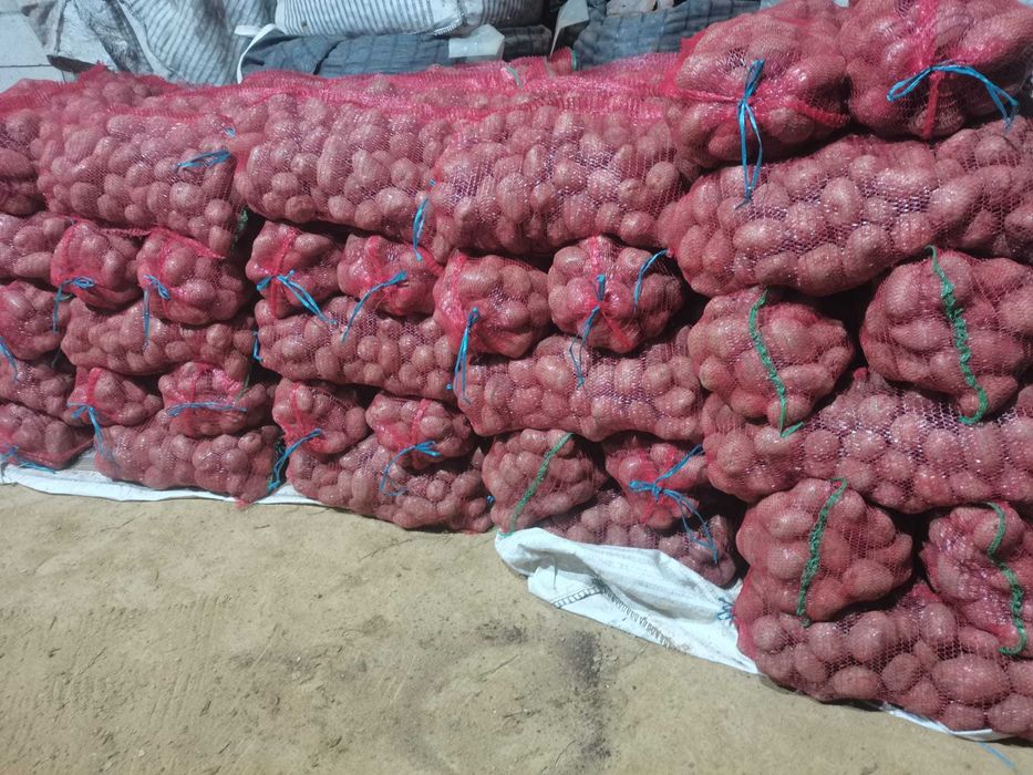 Cartofi samanta ultra