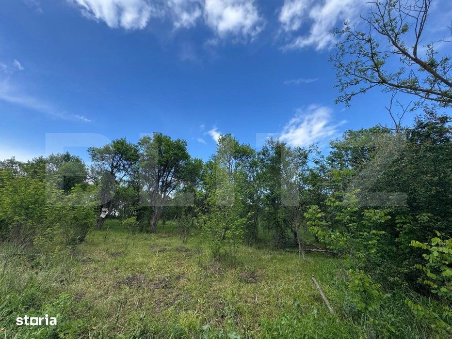 Teren extravilan de vanzare, 6000 mp, zona Hateg