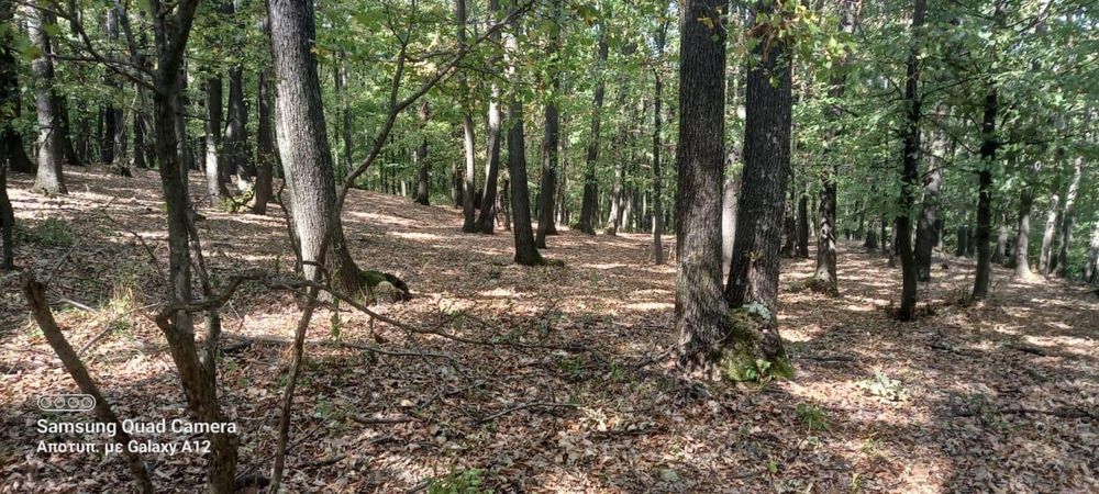 Vând teren  Podenii Noi, Magura