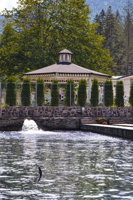 PASTRAV Curcubeu  brevet produs montan