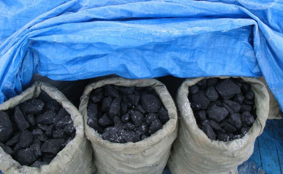 Дрова в мешках, уголь шубаркуль