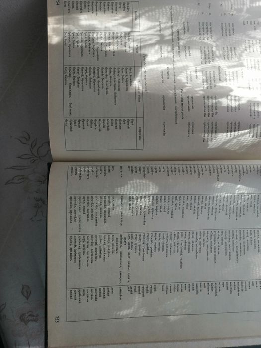 Dicționar rus roman editia 1992