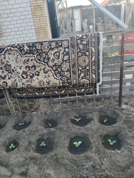 Продам ковёр 3*4метра.