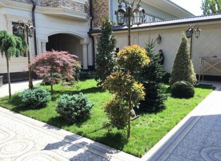 Газон полив gazon уруг сепамиз