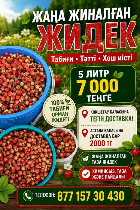 Земляника . Ягоды