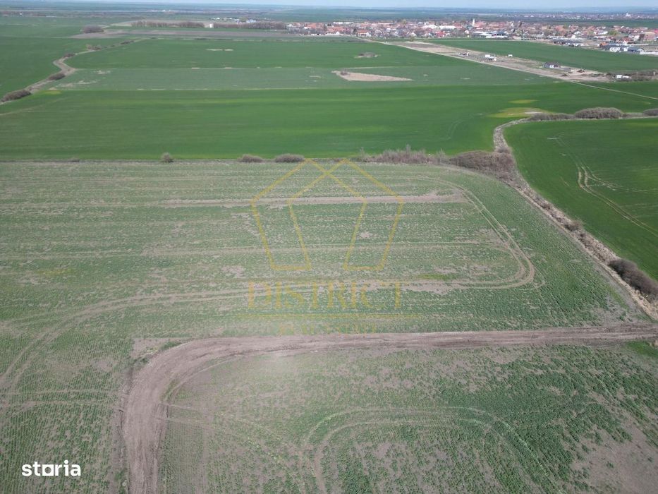 Teren industrial de vânzare Covaci | 14.000 mp | Viitoare centura Cova