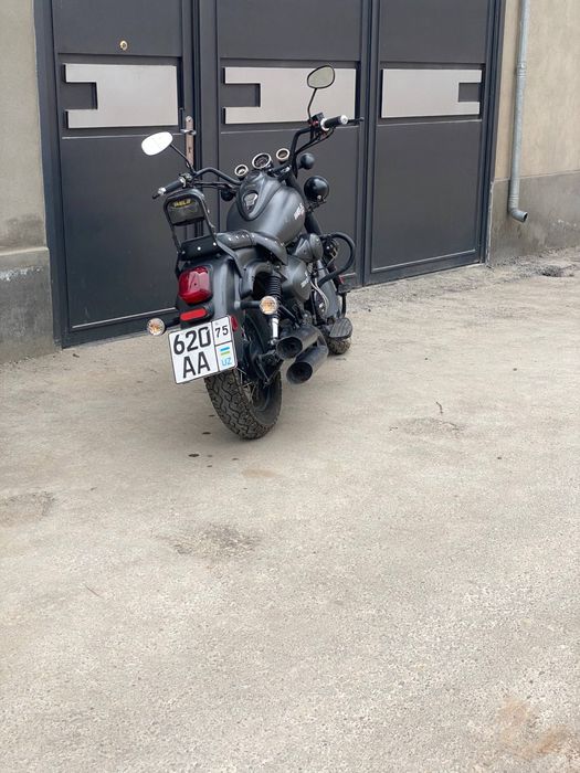 WELS Trophy WD-250 sotiladi.