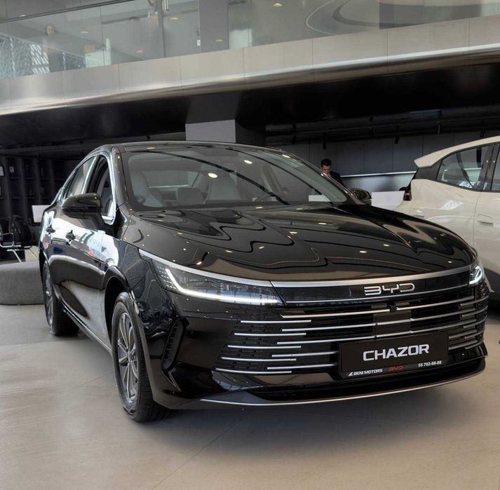 BYD Chazor 120 km Flagship