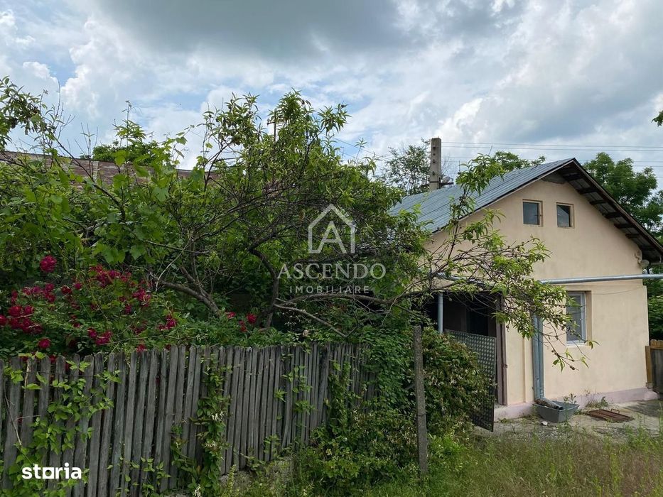 Domeniu 15.900 mp în Fințești | Casă + Investiție Dealu Mare