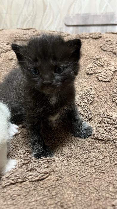 Хороший друг для Вас