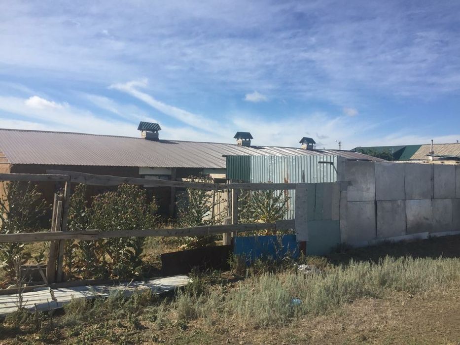 Продам ферму 100км от Нур-султан