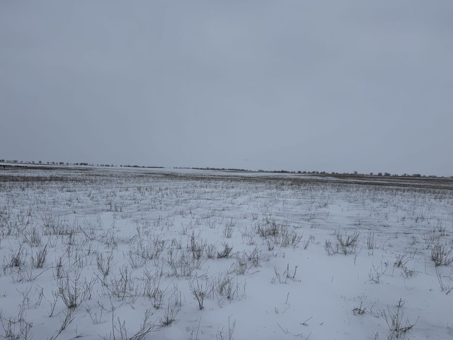 Продам ферму (фазенду)