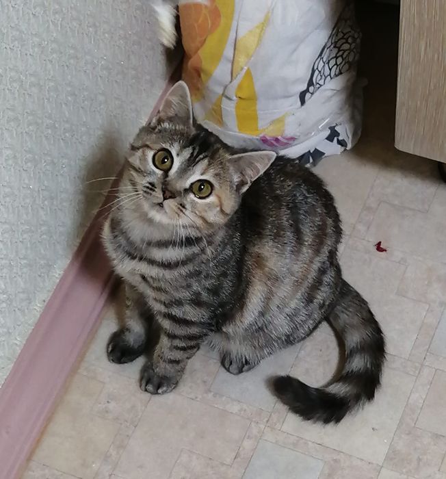 Ася -загадка ищет своего человека