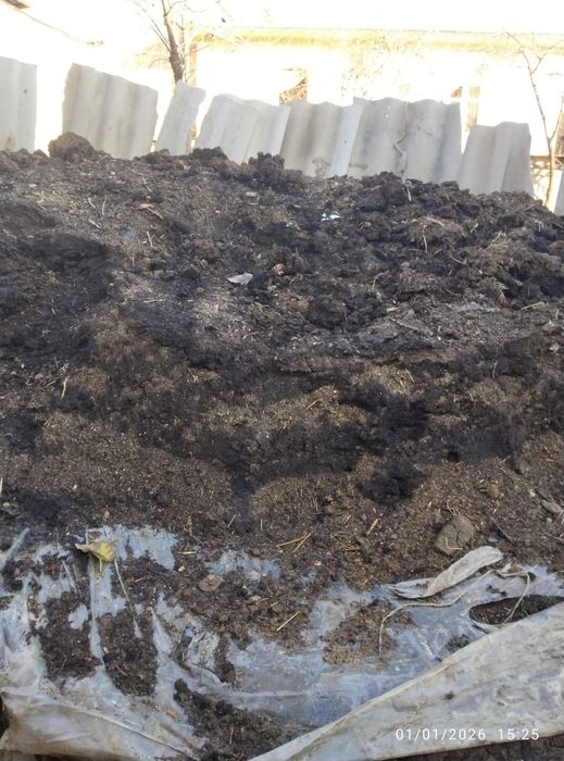 Bepul beriladi.Mol tezaki kuygan .