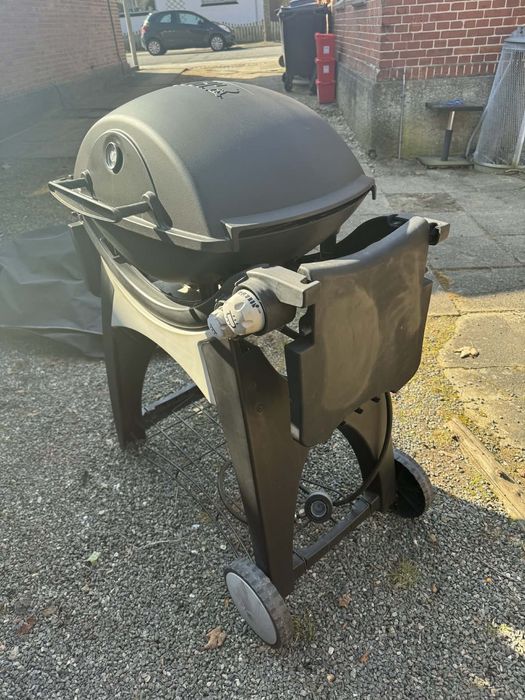Weber Q3000 Gas Grill