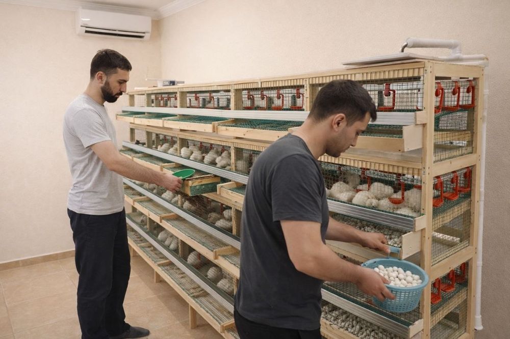 Bruder yasab beramiz