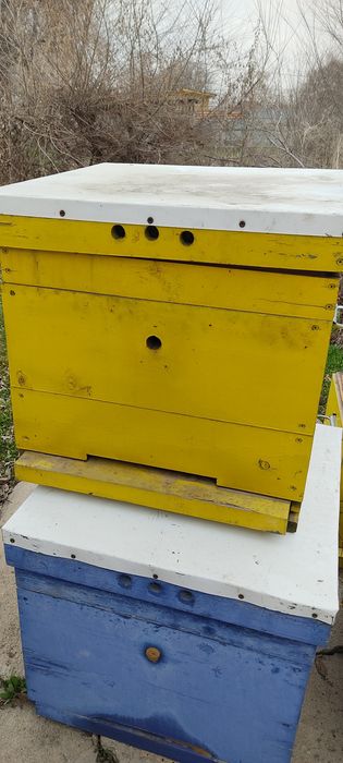 Продам улья для пчёл