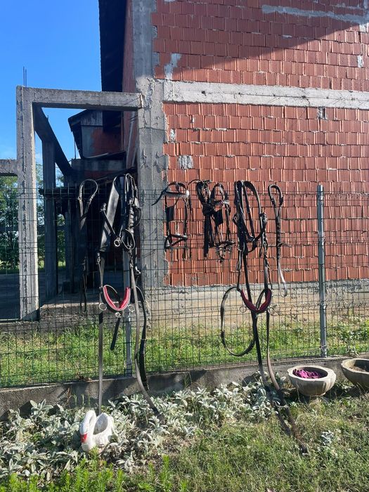 Vând o pereche de hamuri foarte frumoase purtate Foarte puțin