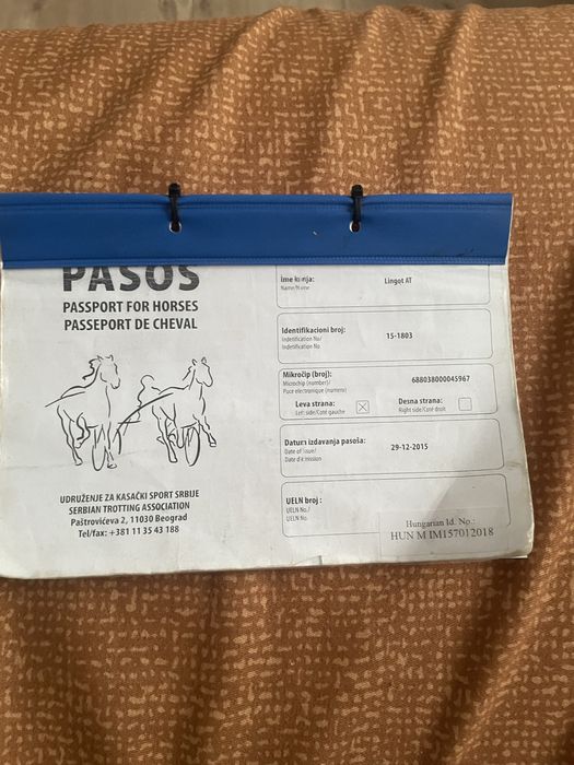 Vand cal trapas de ungaria