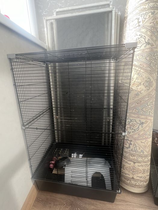 Две клетки (по отдельности)