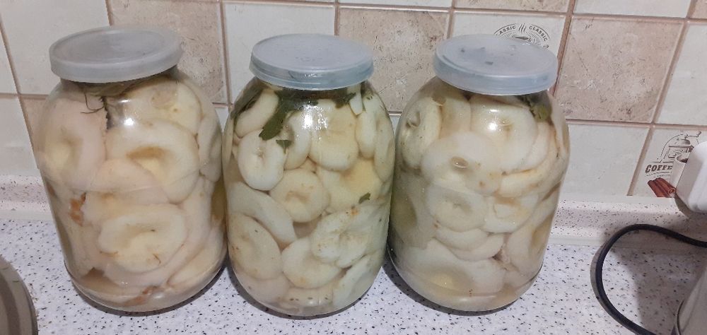 Продаю грибы солёные (грузди)!