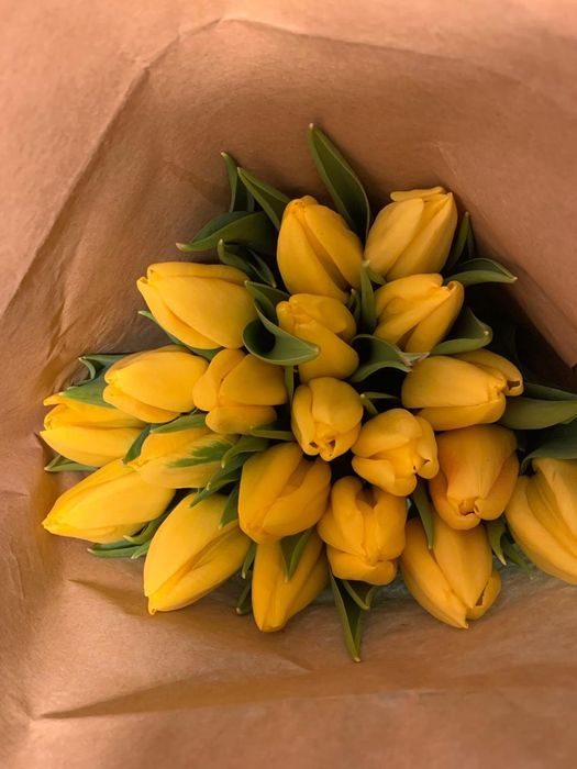 Голландские тюльпаны оптом и в розницу.