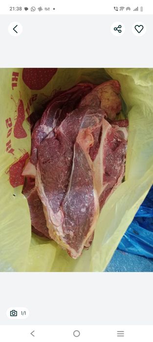 Продам домашнюю говядину