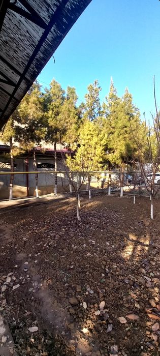 Сергели земля 16 соток