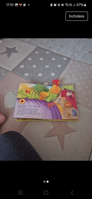 Puișorul curios cartonata