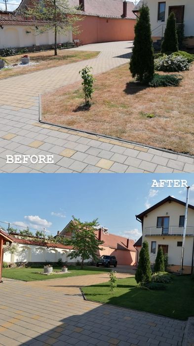 Gazon rulou/Amenajari și întrețineri gradini(Green Grass