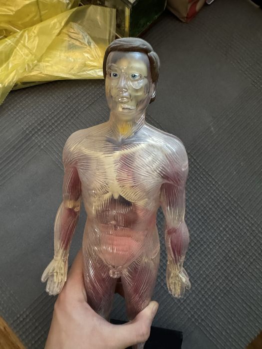 Cartii plus doua manechine barbat si femeie pentru copii corpul uman