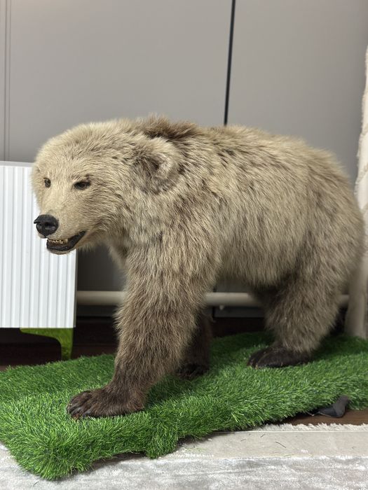 Срочно продам антиквариат Медведь