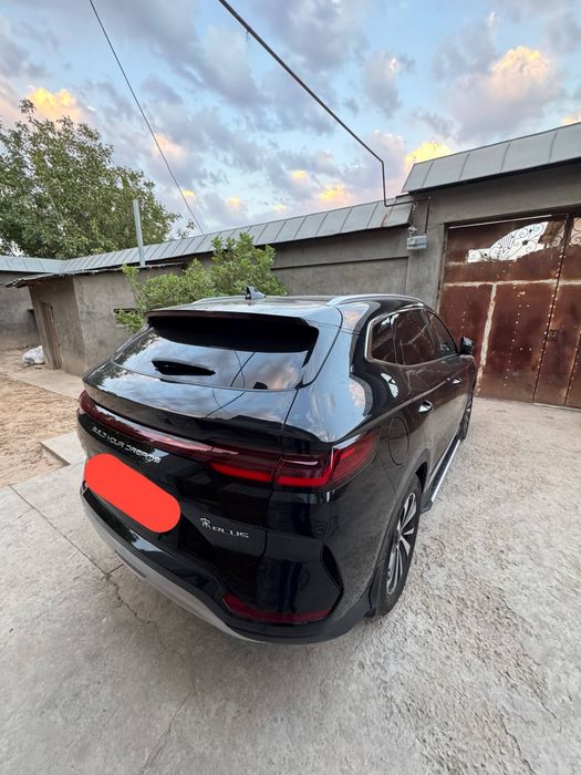 byd chempion 2024