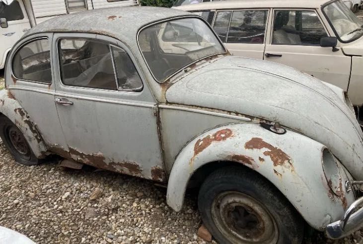 Vw Kafer/broscuta/piese