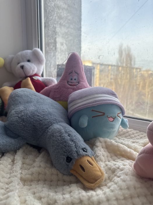 Игрушки  мягкие