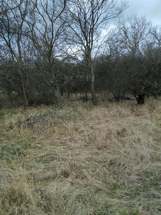 Продава парцел в с.Тополница общ.Дупница