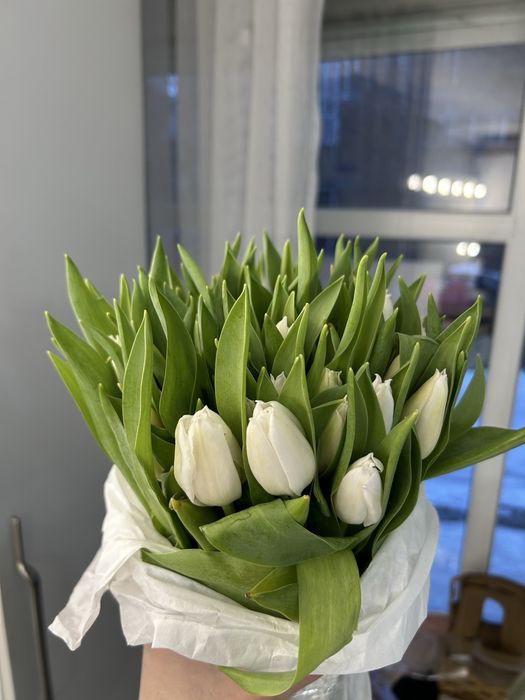 Тюльпаны от 100 штук оптом