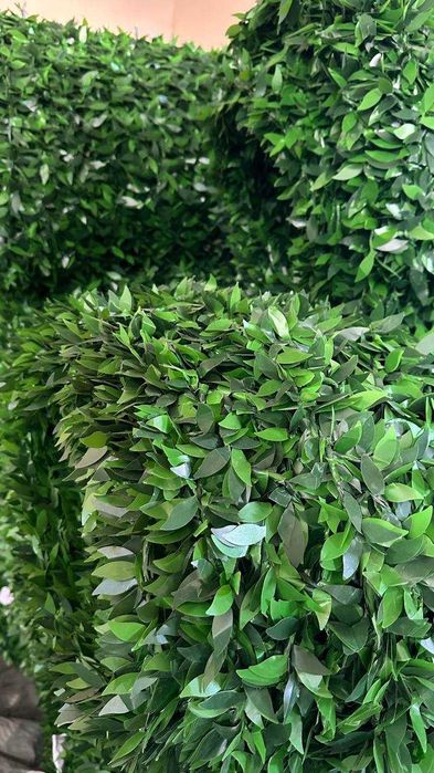 Есозабор Ecozabor Zabor