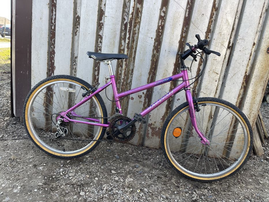 Bicicleta raleigh roti 24”